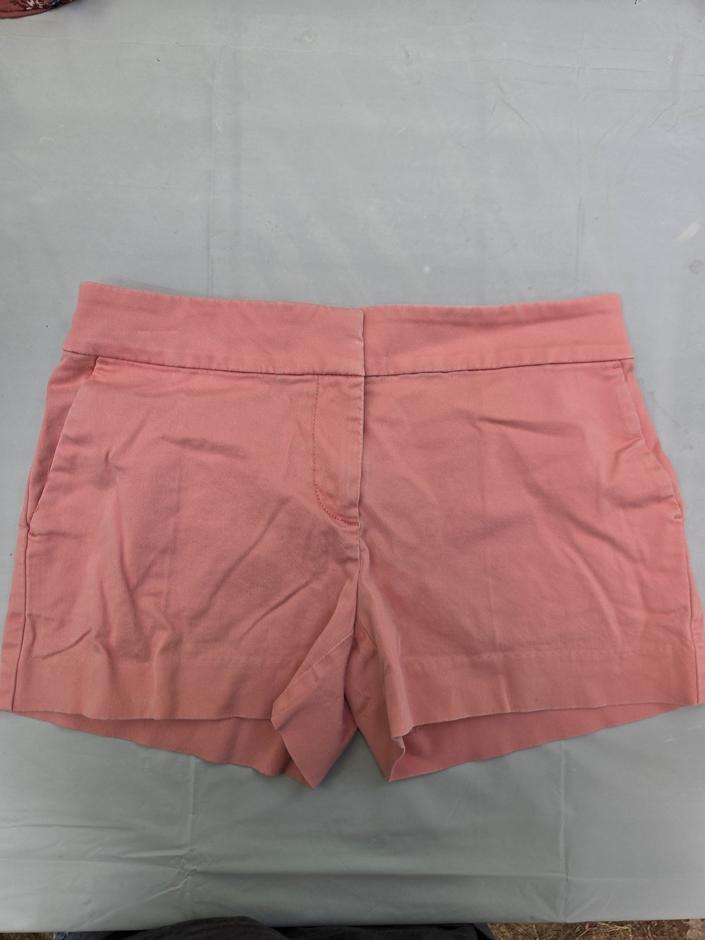 Coral Pink Women's Shorts — Clean Tailored Fit
